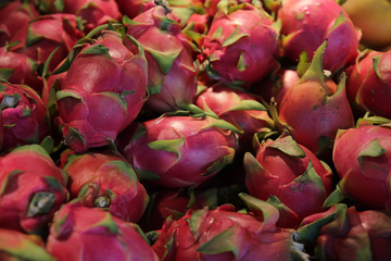 buah-naga-360-1742882276840.webp