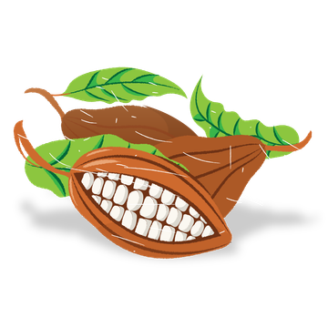 kakao-360-1744275356390.webp