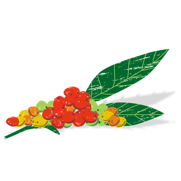 kopi-360-1744191437700.webp