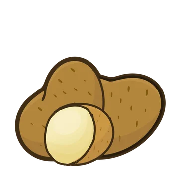 Potato