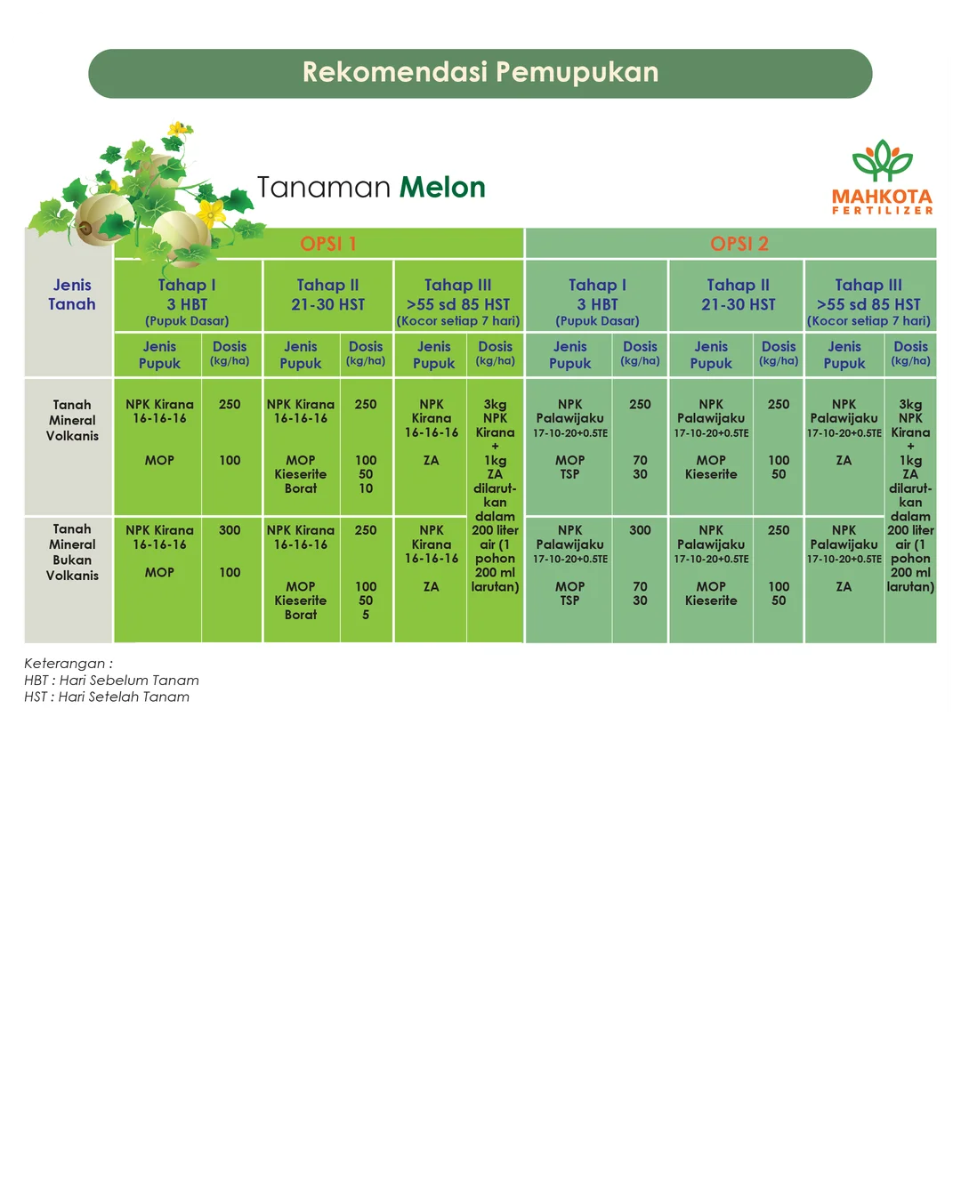 Rekomendasi Pemupukan Melon 
