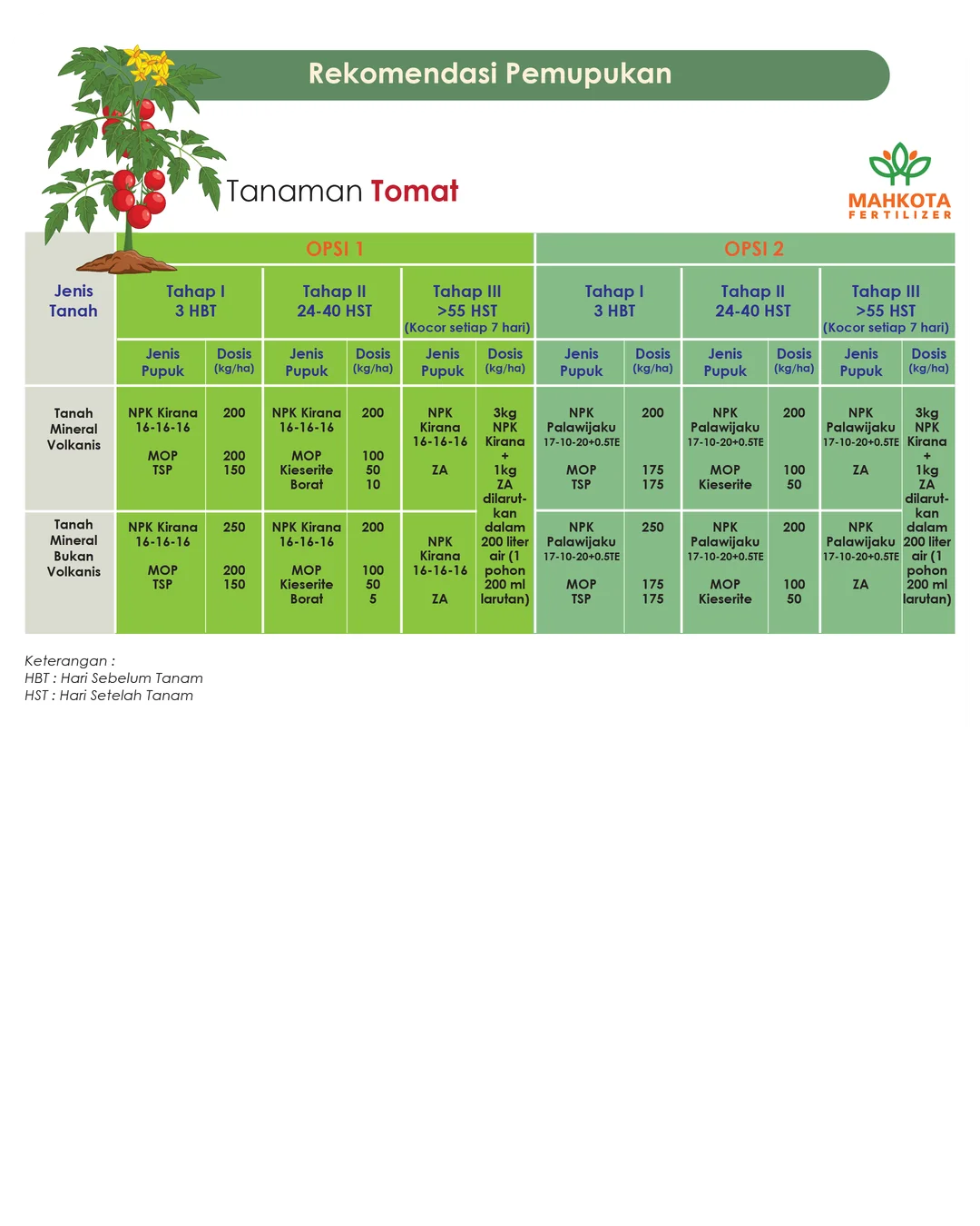 Tomato Fertilizer Dosage Mahkota Fertilizer