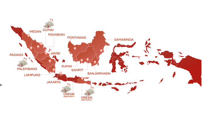 network and distribution