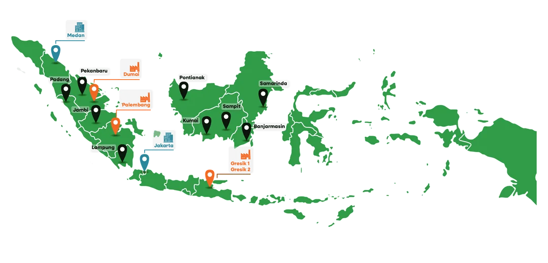 network and distribution